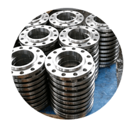Hastelloy Alloy Flanges Hastelloy Flanges
